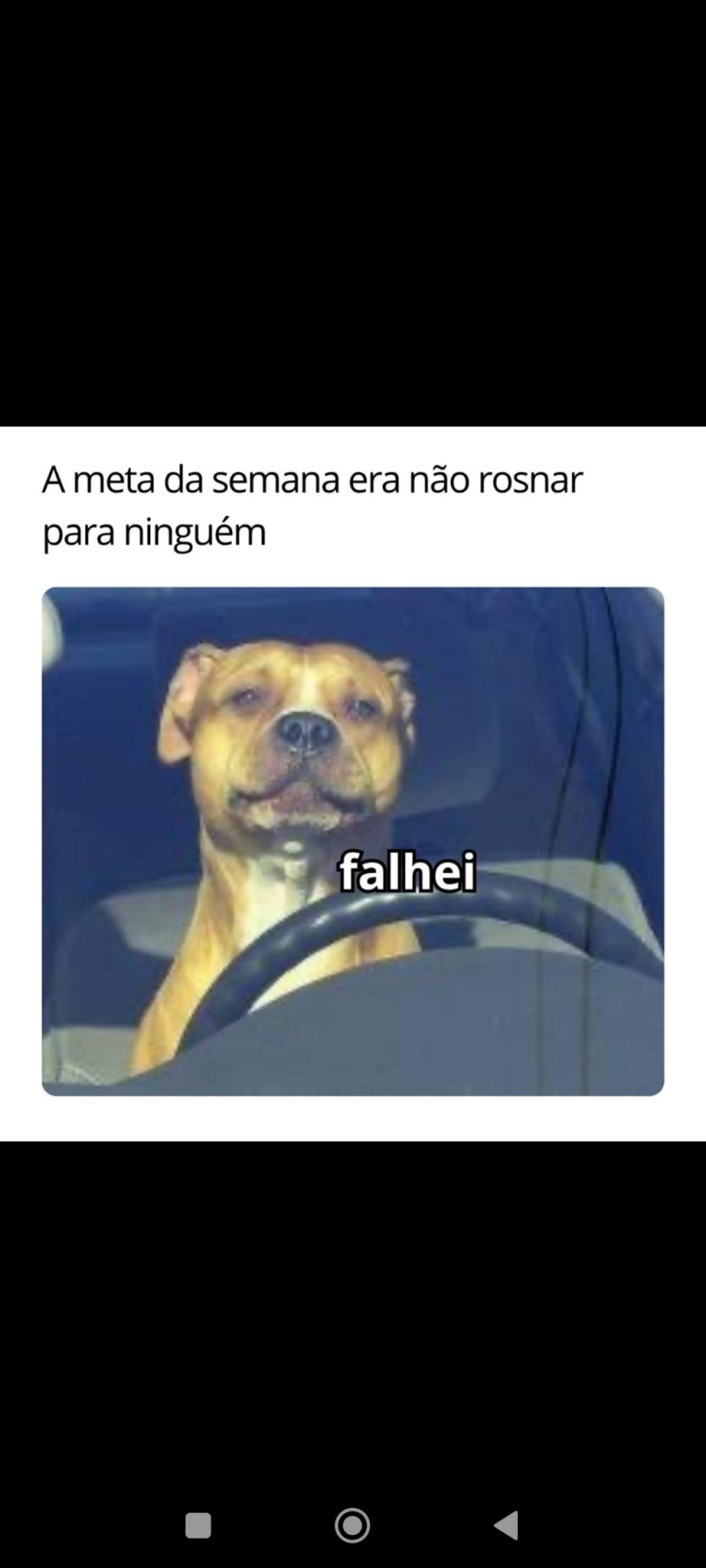 Memes do vovô