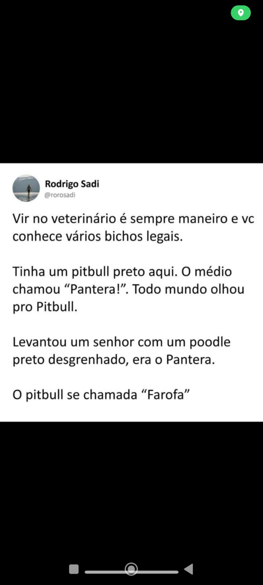 Memes do vovô