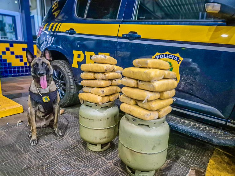PRF Impede Tráfico de 23kg de Skunk