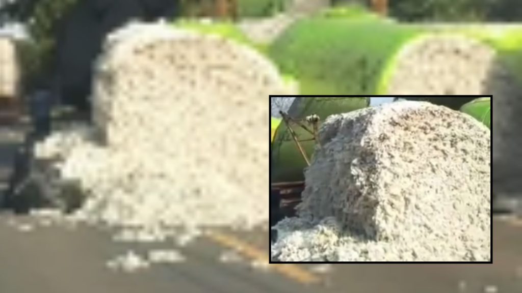 Carreta carregada com algodão derruba fardos e bloqueia rodovia entre Campo Novo e Sapezal; veja vídeo