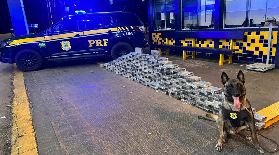 PRF Descobre 176kg de Cocaína Escondida em Caminhão