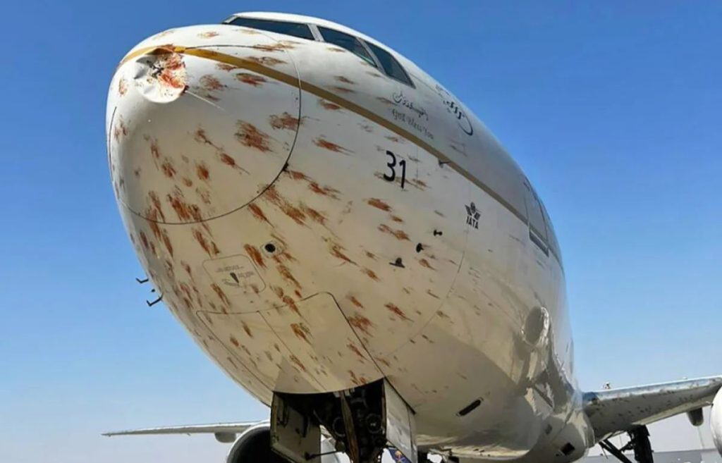 Avião atinge pássaros na decolagem e fica coberto de sangue