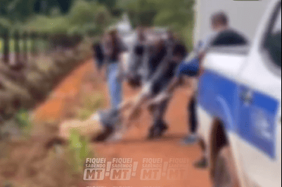 Quatro homens são achados mortos e amarrados em áreas de mata em Sinop; veja vídeo
