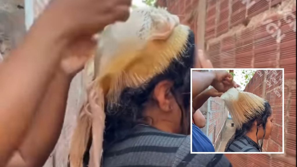 Tentativa de ficar loira vira caos e rende o vídeo mais engraçado do dia; Veja vídeo
