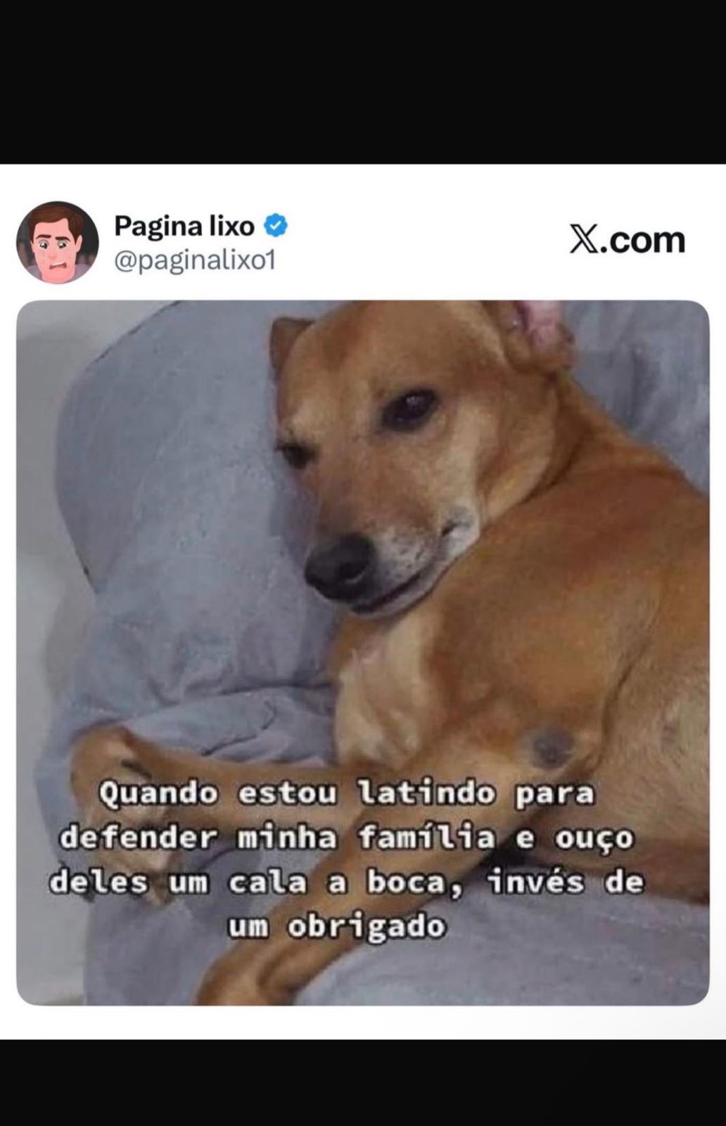 Memes do vovô