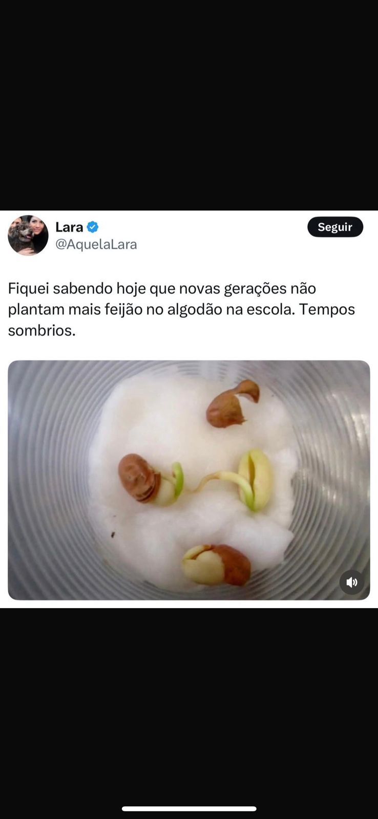 Memes do vovô