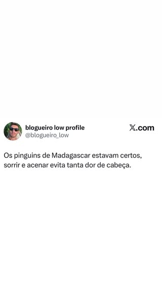 Quem diria que os Pinguins de Madagascar teriam a fórmula para uma vida mais tra em destaque