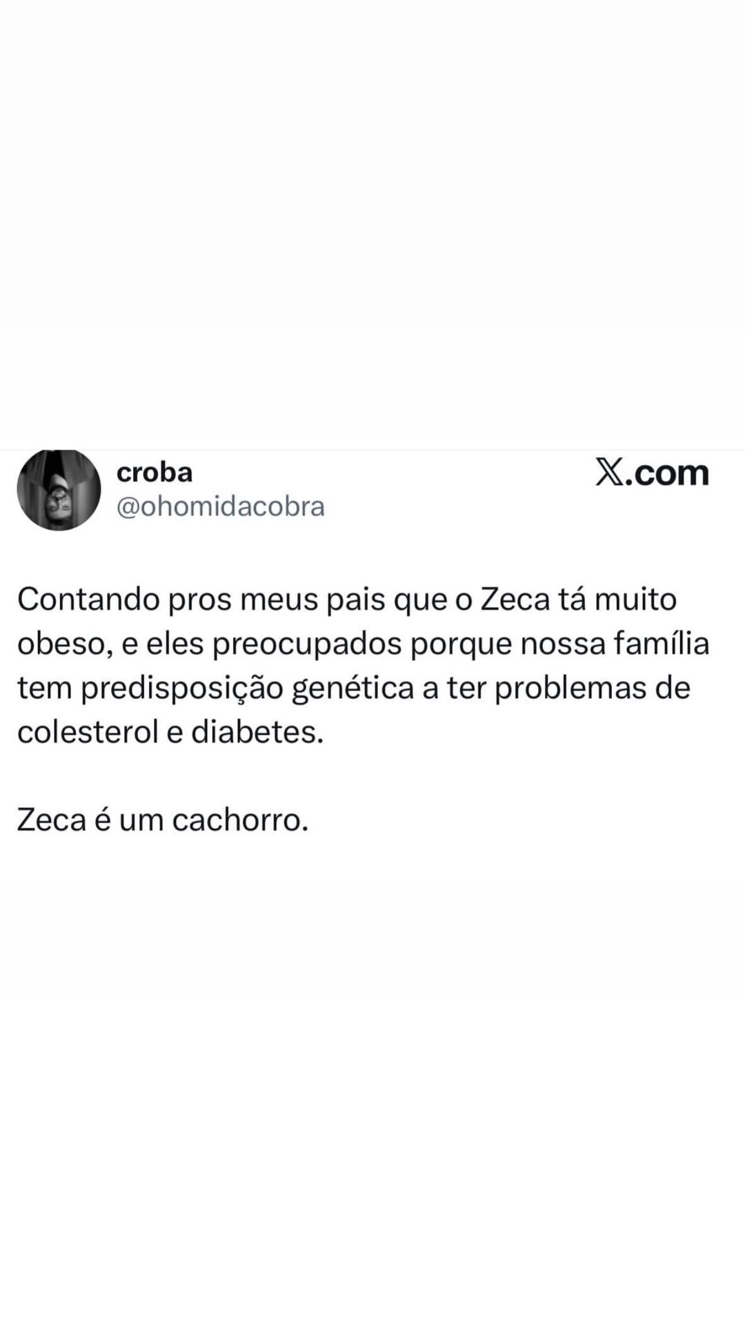 Zeca é cachorro, mas a preocupação da família é toda com a saúde genética em destaque