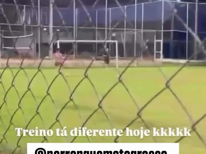 Treino diferente hoje rende risada garantida no grupo