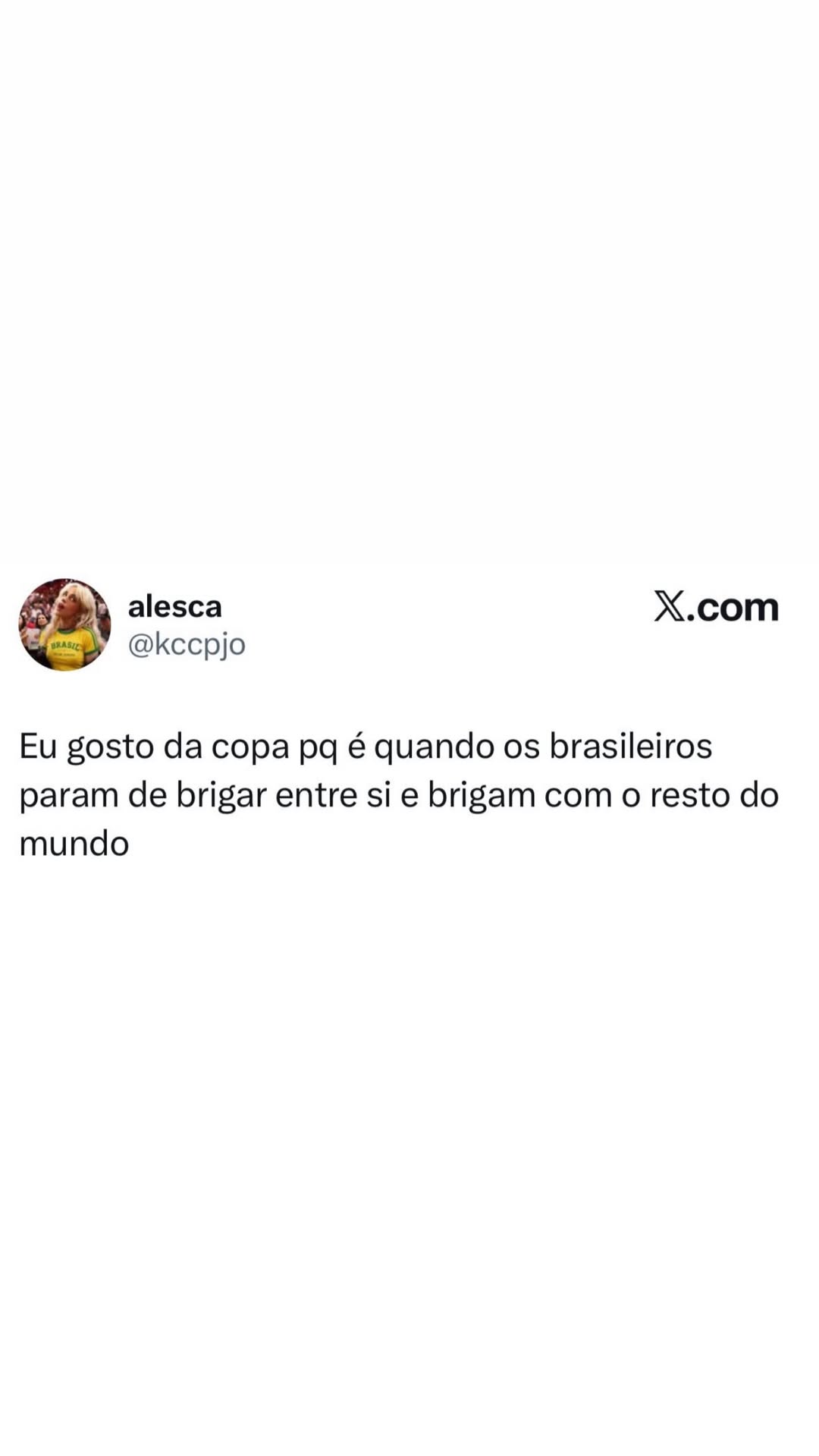 alesca X.com @kccpjo Eu gosto da copa pq é quando os brasileiros param de brigar e