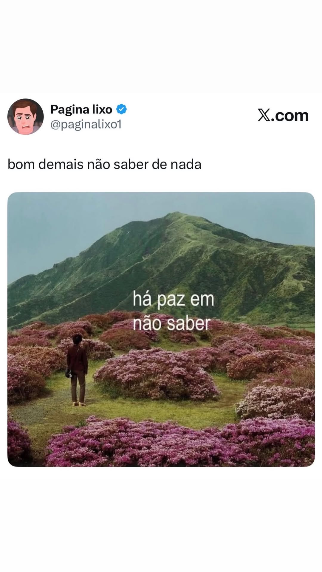 Quando a ignorância é bênção, a página lixo é sucesso