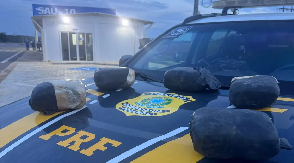 Cão farejador encontra skunk escondido em bagagem durante fiscalização de ônibus na BR-364 em Pedra Preta; veja vídeo