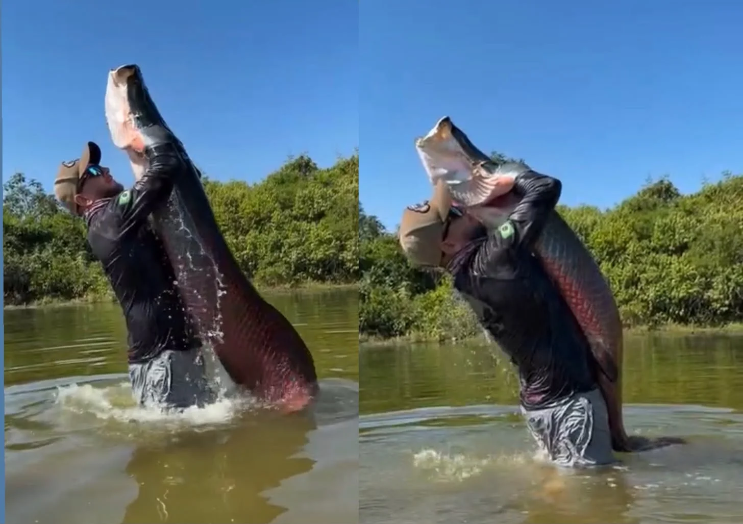 Pescador surpreende ao aparecer com pirarucu de grande porte nos braços durante pescaria em Paranaíta; veja vídeo